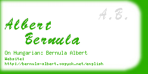 albert bernula business card